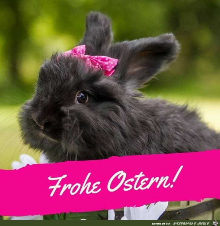 Frohe Ostern