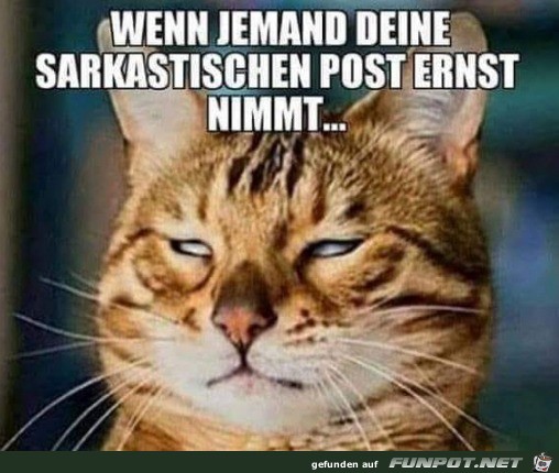 Wenn jemand deinen sarkastischen Post ernst nimmt