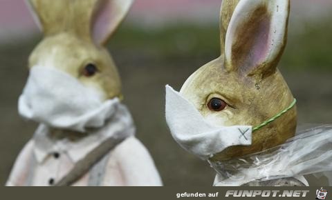 Frohe Ostern Frohe Ostern