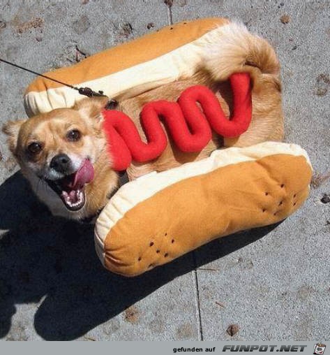 Hot Dog