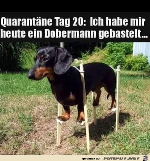 Ich bastel mir einen Dobermann