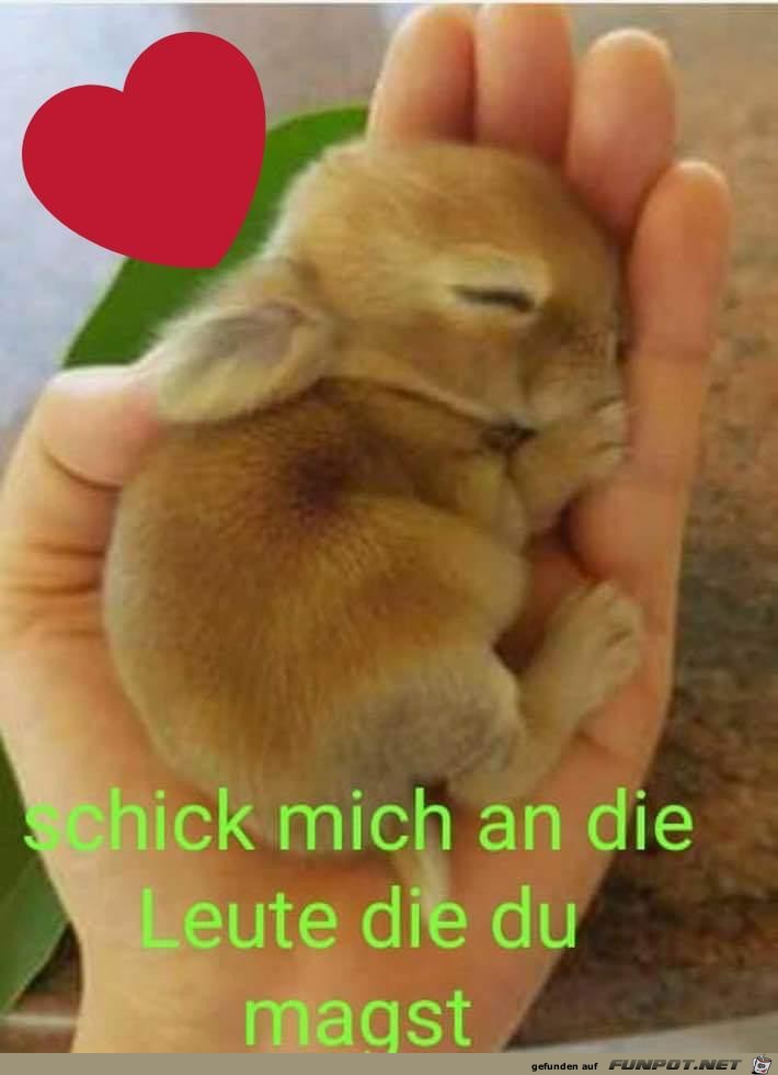 Schick mich an die Leute...