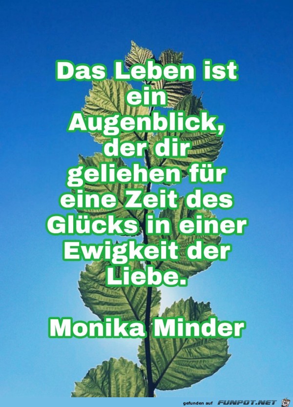 das leben ist ein Augenblick