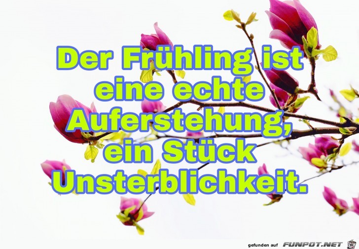 der fruehling ist