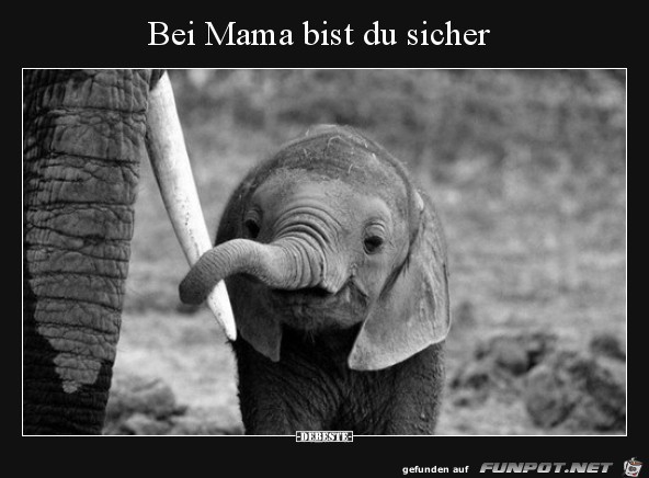 Bei Mama bist Du sicher