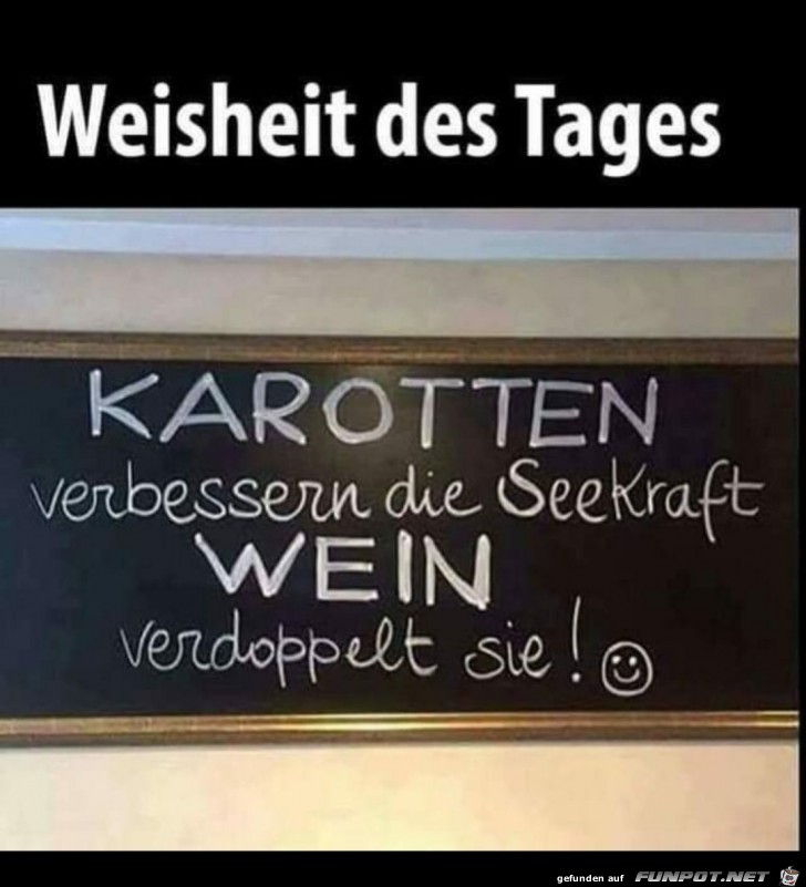 Weisheit des Tages