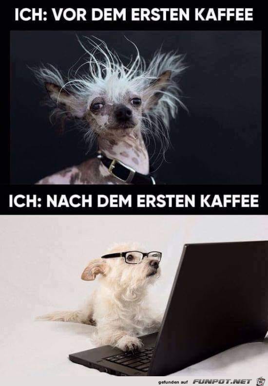 Vor und nach dem 1.Kaffee Vor und nach dem 1.Kaffee