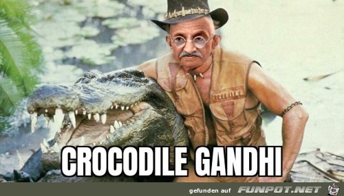 Crocodile Gandhi