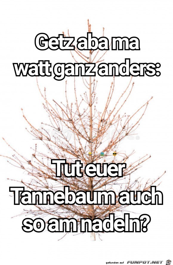 Tannebaum