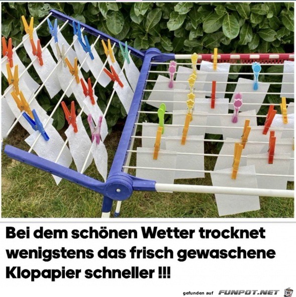 Frisch gewaschenes Klopapier