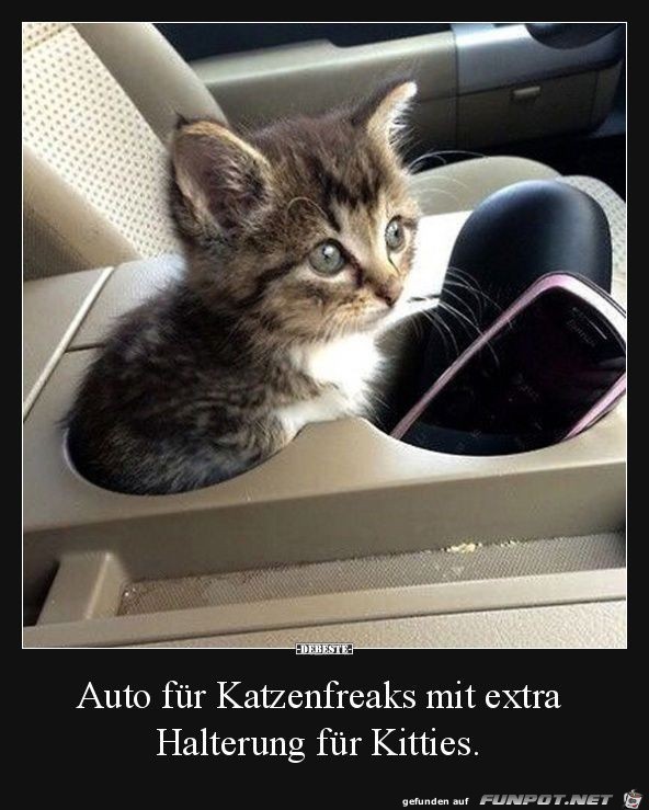 Auto fr Katzenfreaks