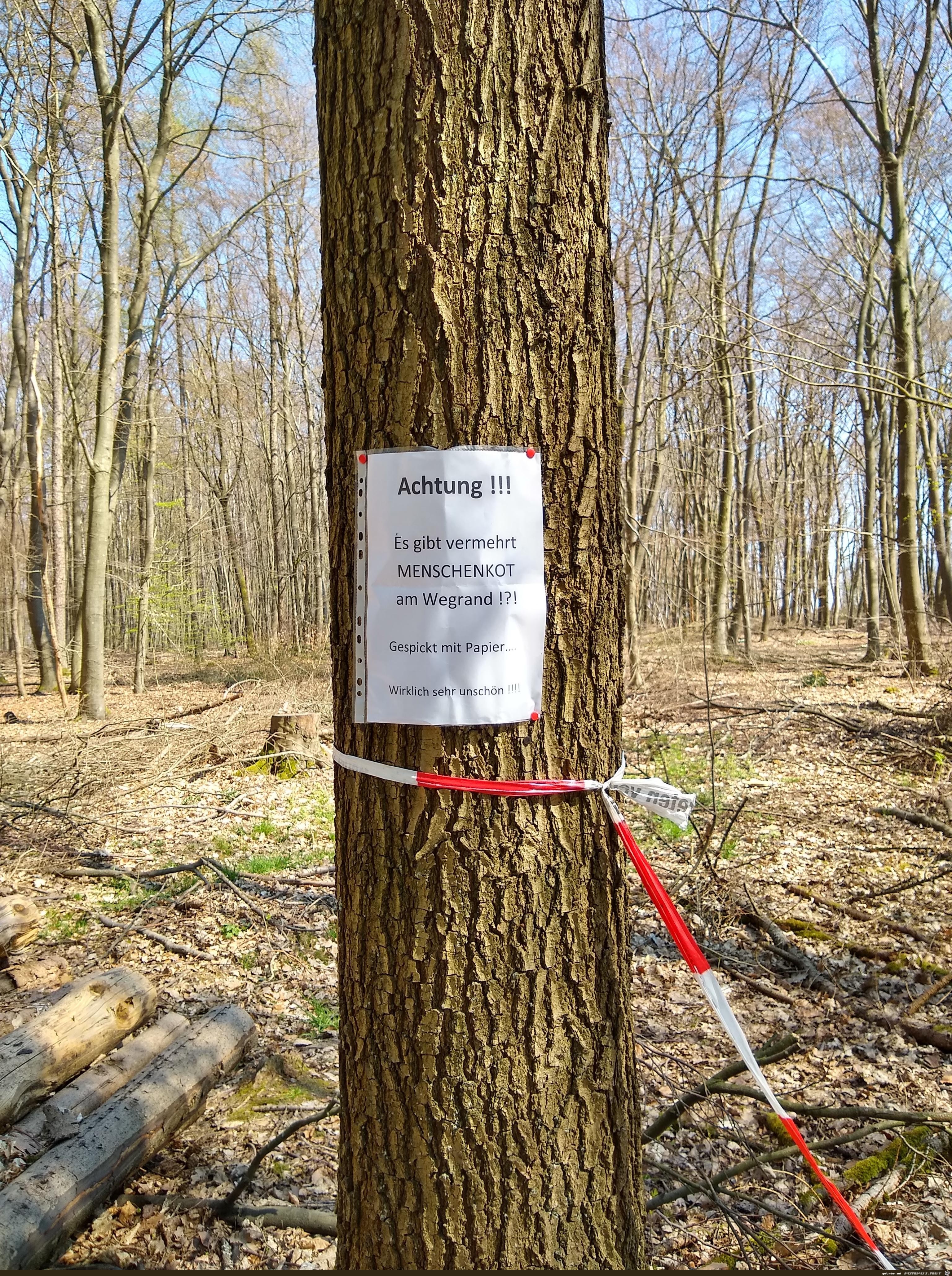 Achtung im Wald