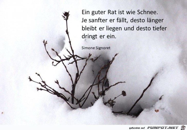 ein guter rat