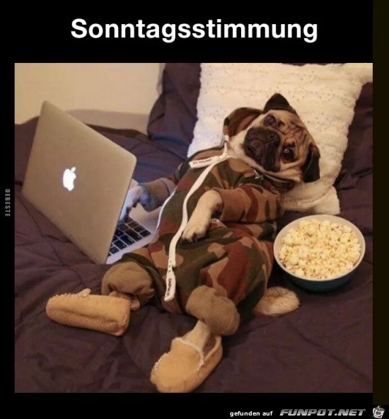 Sonntagsstimmung