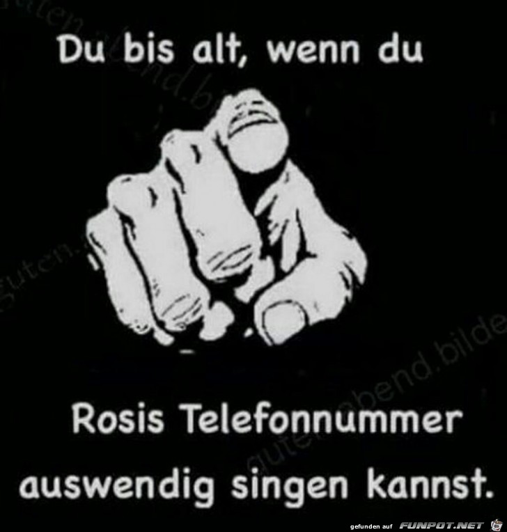 Du bist alt, wenn du Rosis Telefonnummer auswendig singen