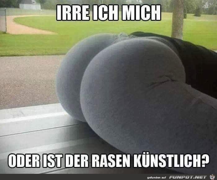 Ist das ein knstlicher Rasen?