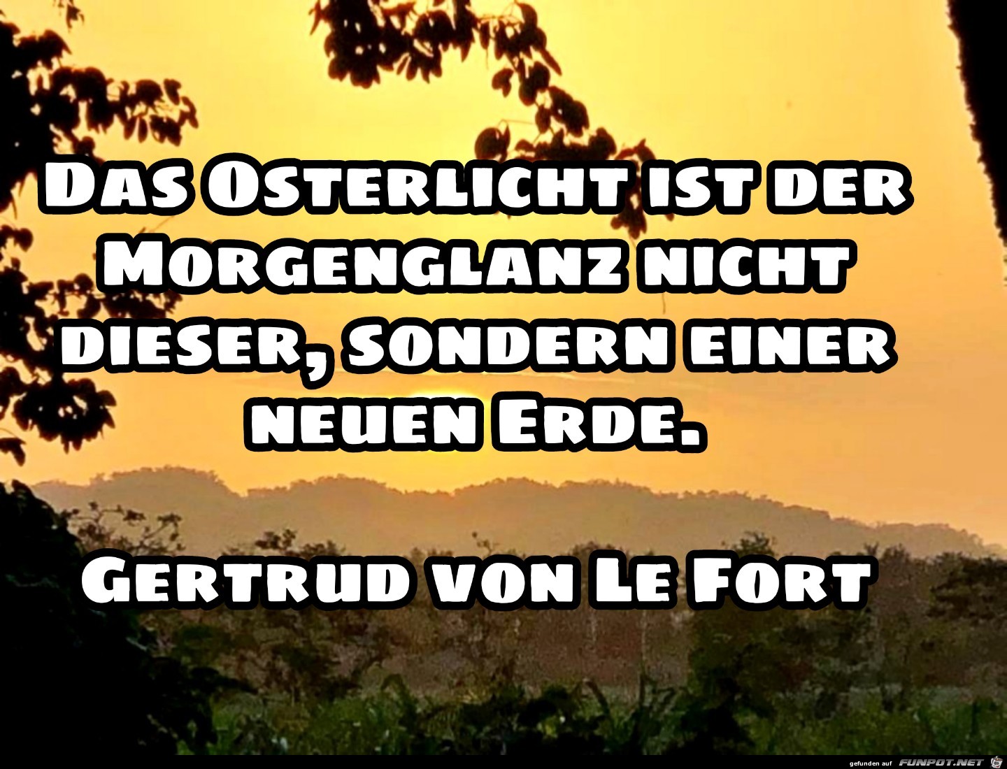 das osterlicht01