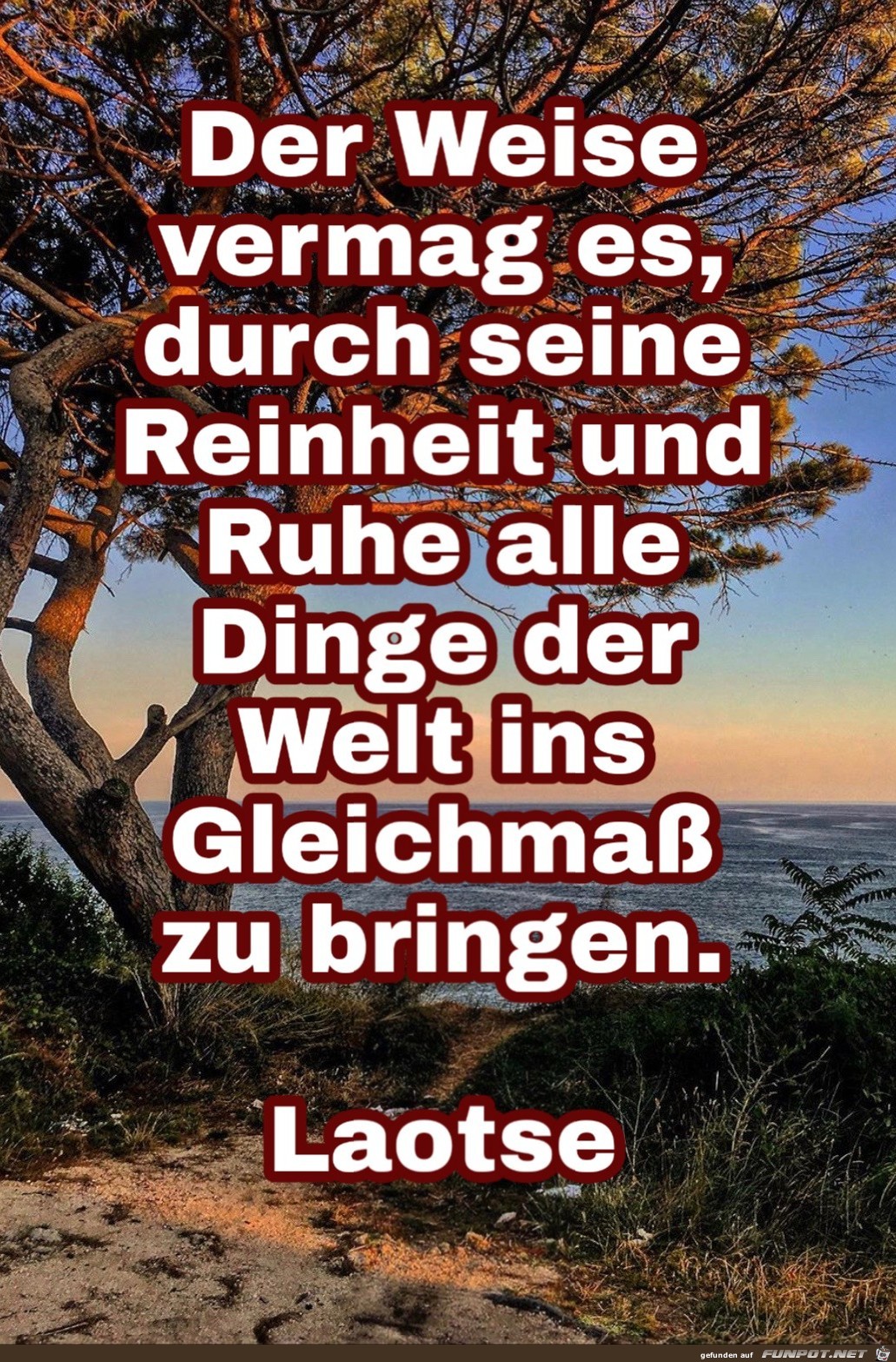 der weise vermag01