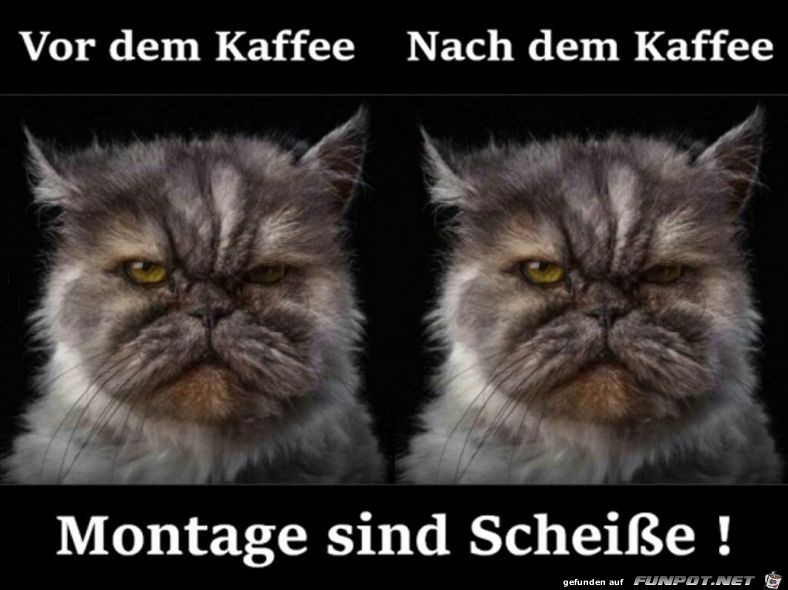 Montage sind Scheie