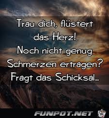 Trau dich