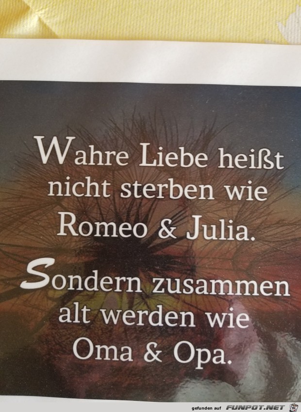 Wahre Liebe