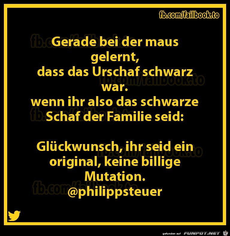 Das schwarze Schaf