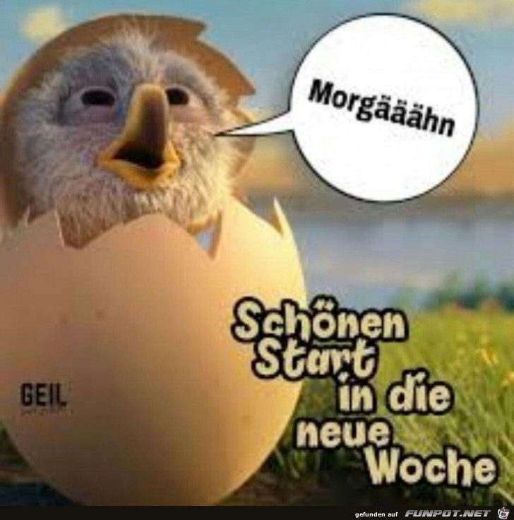 Guten Morgen