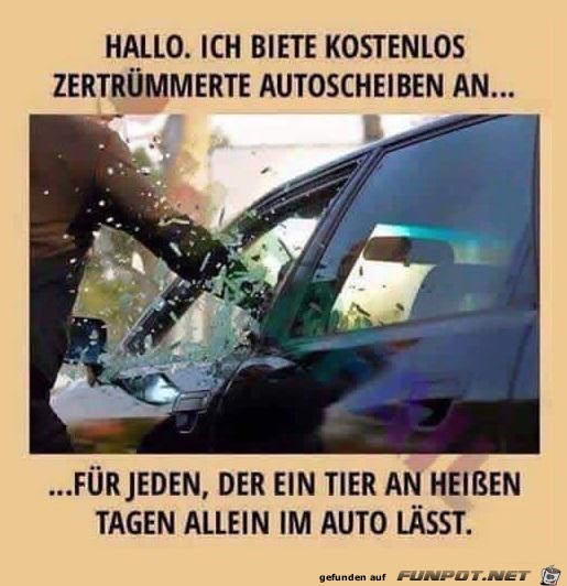 Autoscheiben