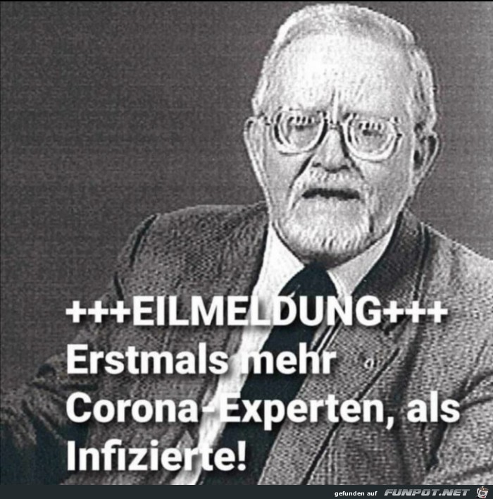 Mehr Corona-Experten als Infizierte Mehr Corona-Experten als Infizierte