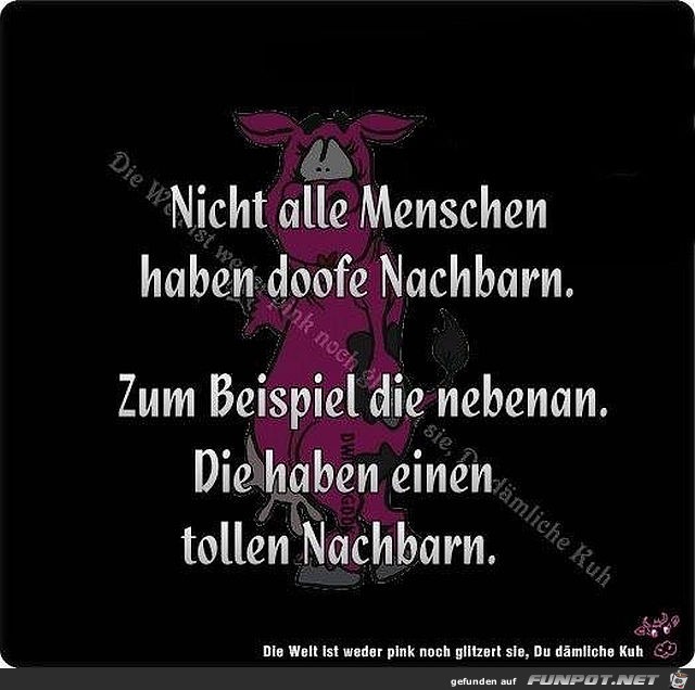Nachbarn Nachbarn