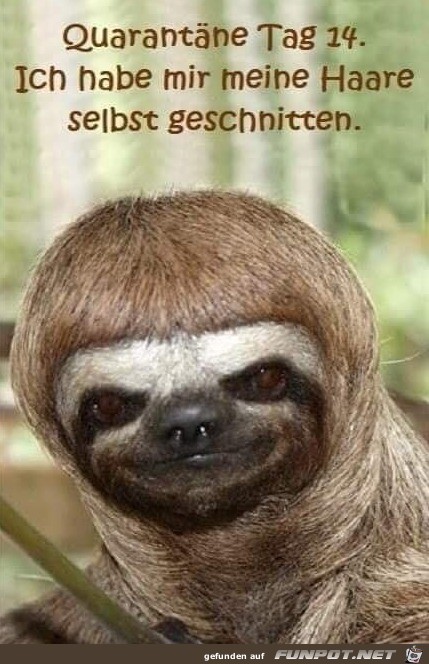 Habe meine Haare selber geschnitten