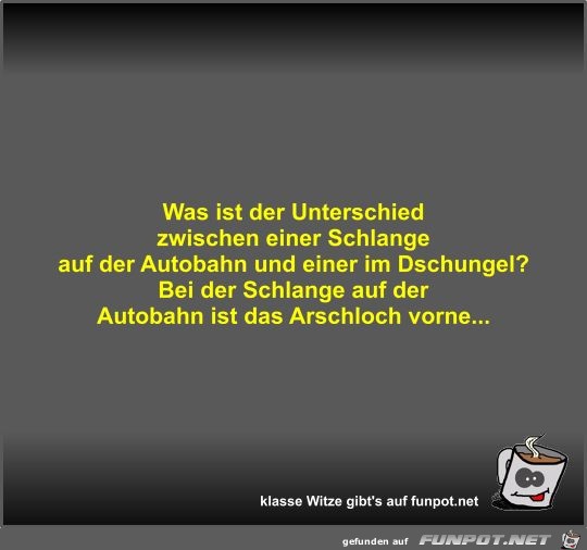 Was ist der Unterschied zwischen einer Schlange auf der... Was ist der Unterschied zwischen einer Schlange auf der...