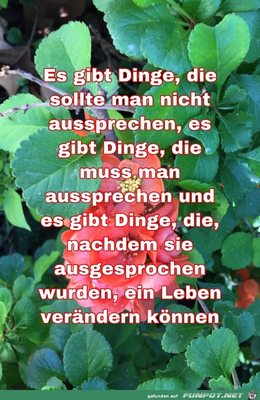 es gibt dinge