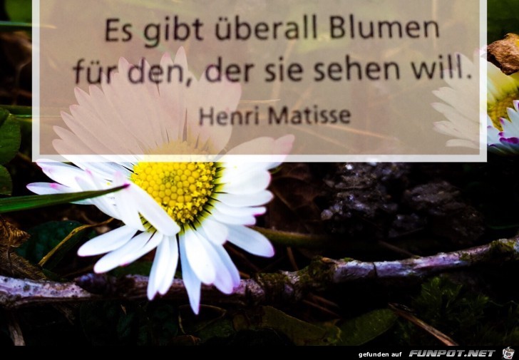 es gibt ueberall Blumen