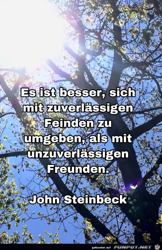 herziger Spruch Es ist besser 