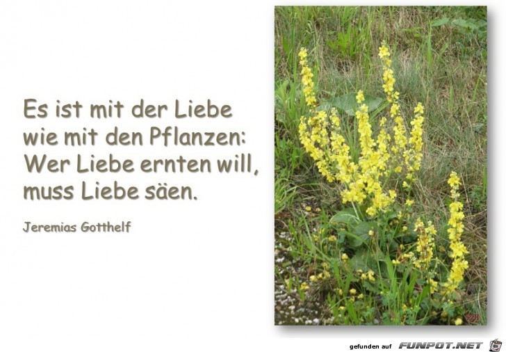 es ist mit der liebe