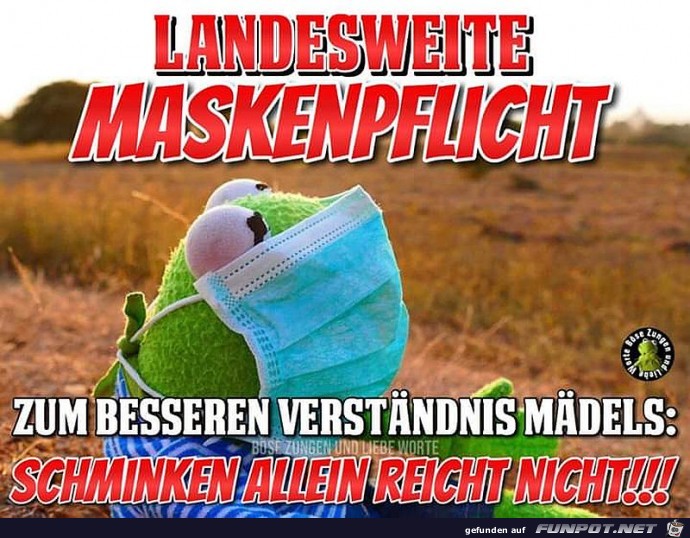 Landesweite Maskenpflicht