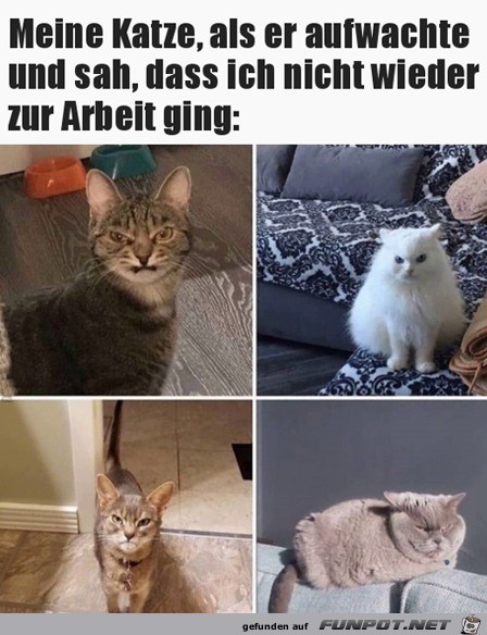 Jetzt ist der immer noch zuhause