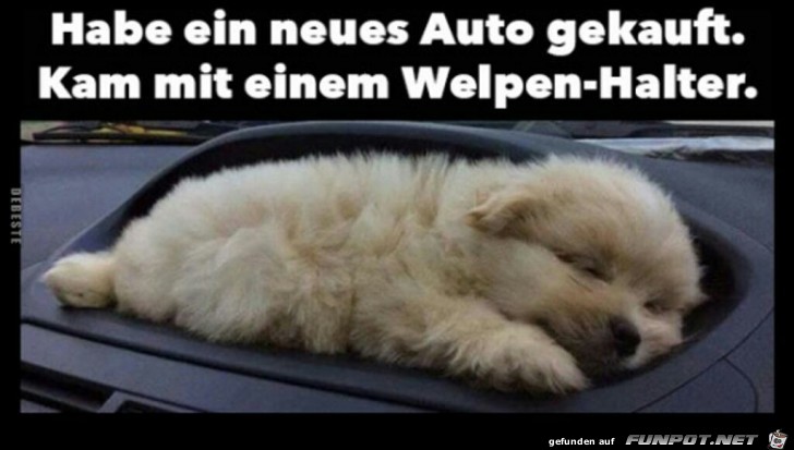 Neues Auto mit Welpenhalter