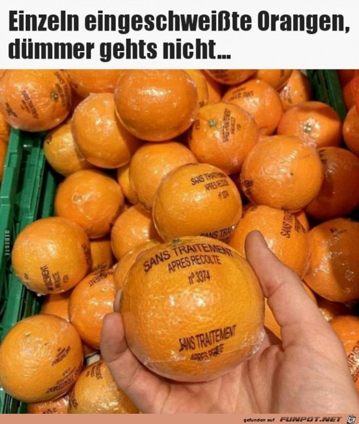 Dmmer geht's nicht