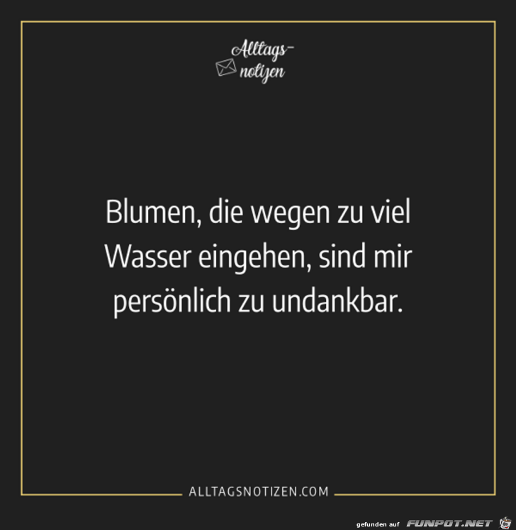 Blumen, die wegen zu viel Wasser eingehen......