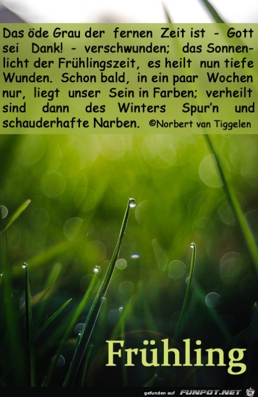 Frühling 2020 Frühling 2020