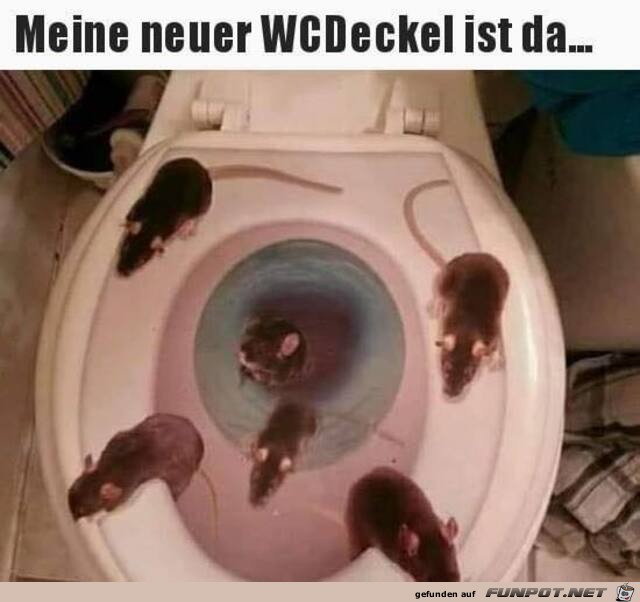 Mein neuer WC Deckel ist da