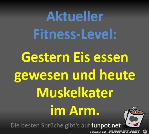 Aktueller Fitness-Level