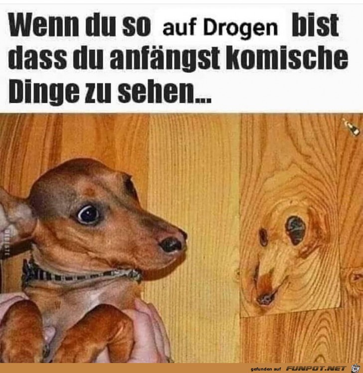 Komische Dinge