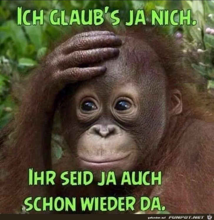 Ich glaub's ja nicht