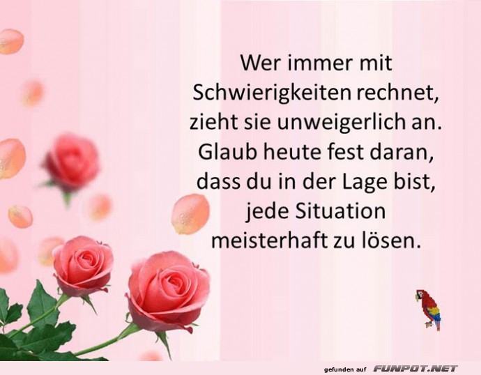 Wer immer Wer immer