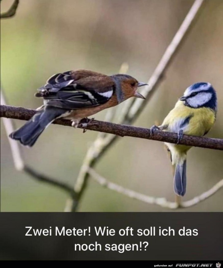 Halt endlich zwei Meter Abstand