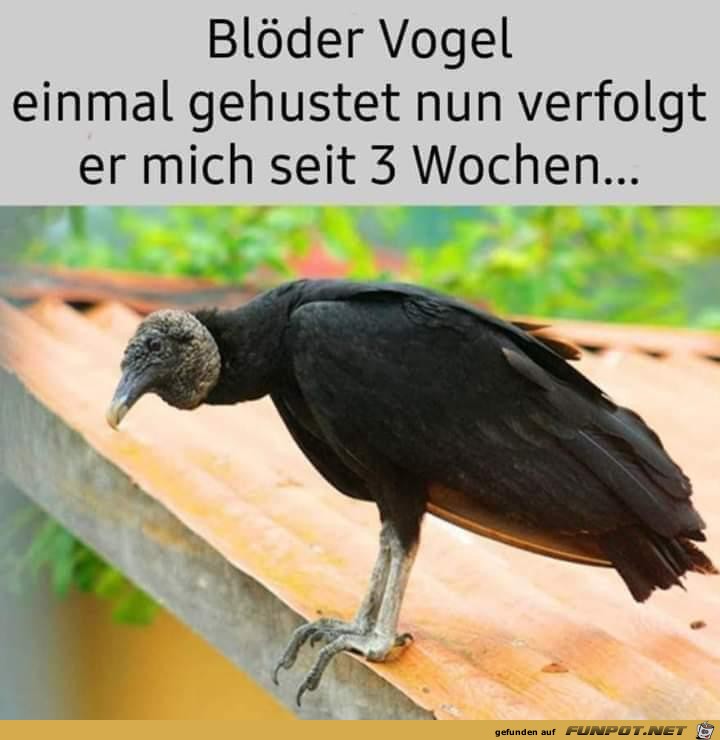 witzige Bilder aus verschiedenen Blogs