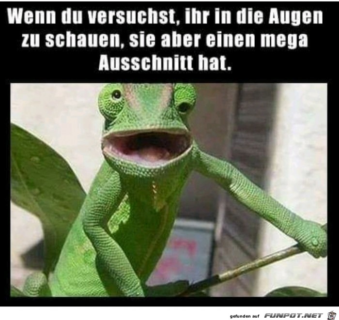 in die Augen